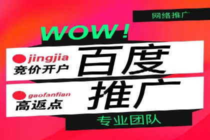 百度推广实战：案例分享与优化建议